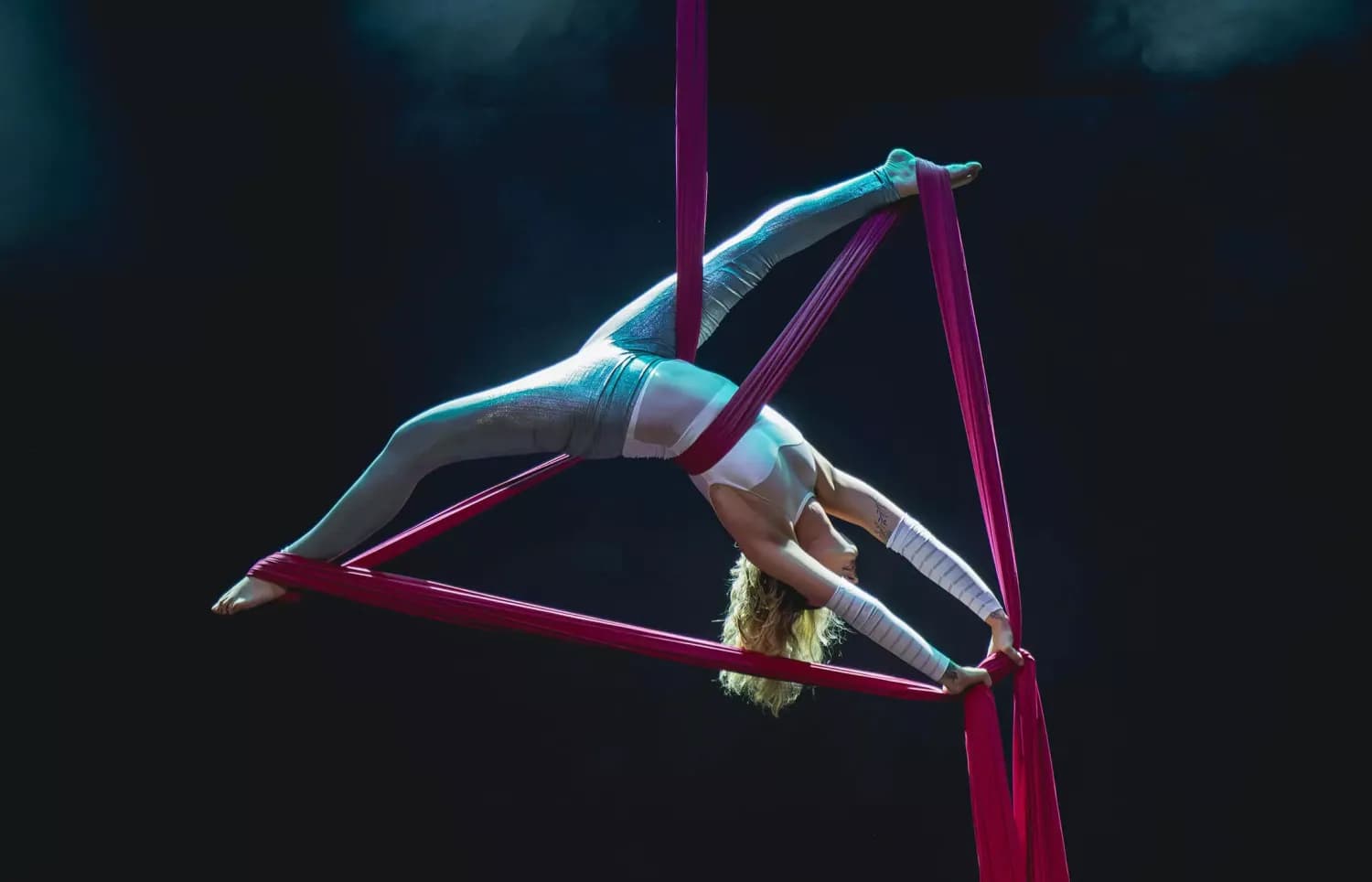aerialist